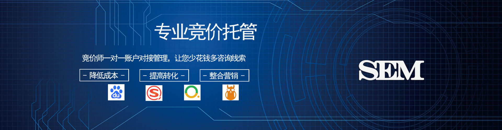 大树竞价广告